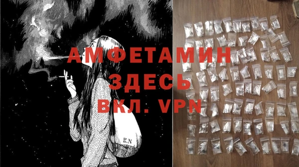 стаф Балахна