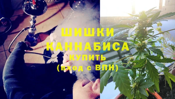 стаф Балахна