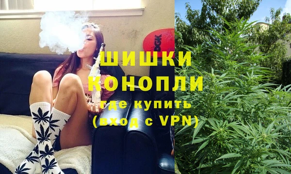 стаф Балахна