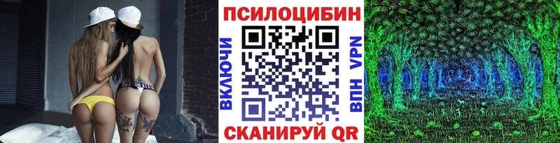закладки  Боровичи  Галлюциногенные грибы Psilocybine cubensis 